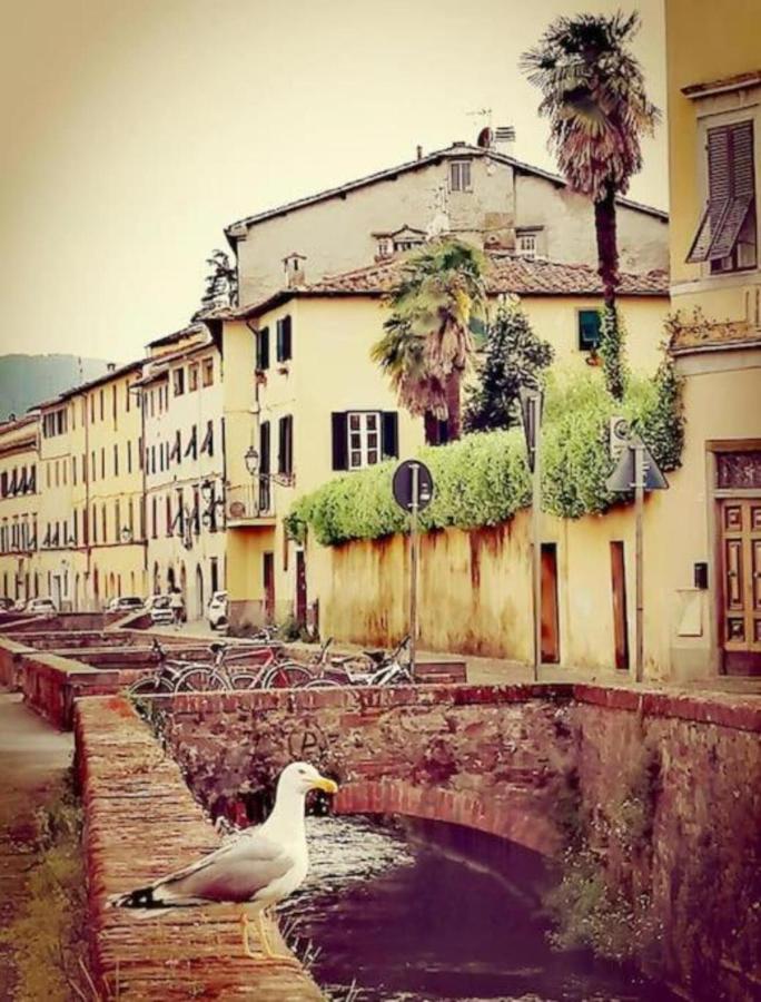 Lo Stellario Di Lucca Apartment Exterior photo